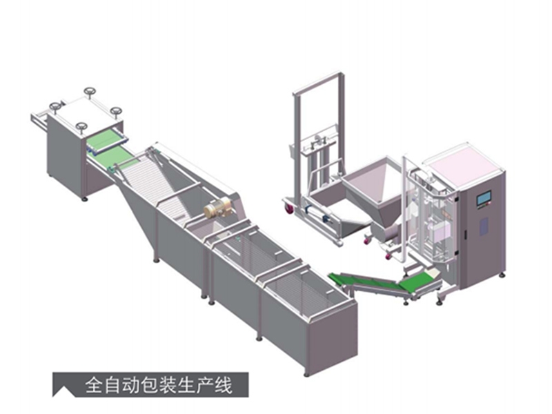 全自动包装生产线