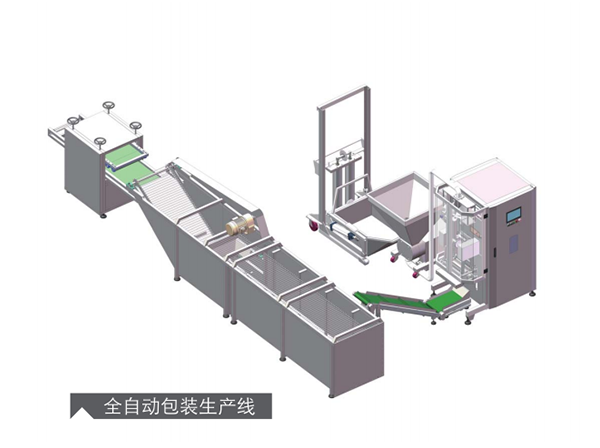 <b>全自动包装生产线</b>
